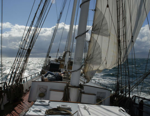 Banjaard auf der Nordsee