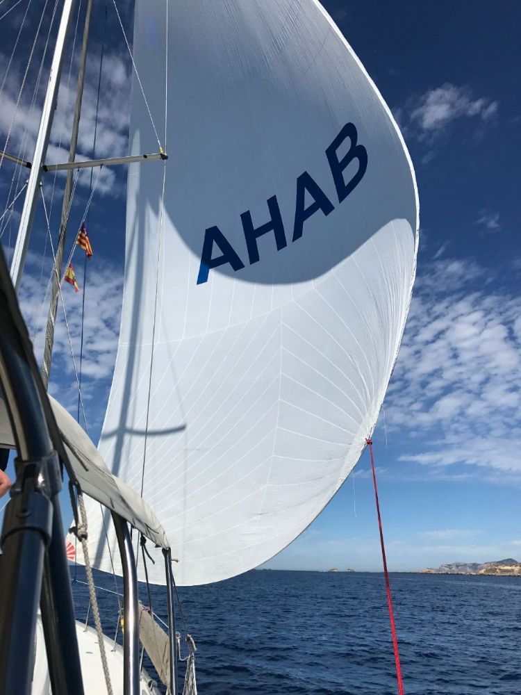 Regatta