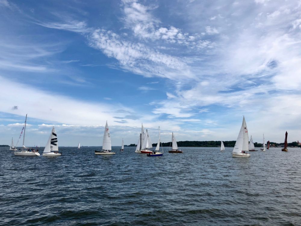 Regatta