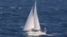 Avatar of Offshore-Yacht-Charter