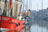 harlingen