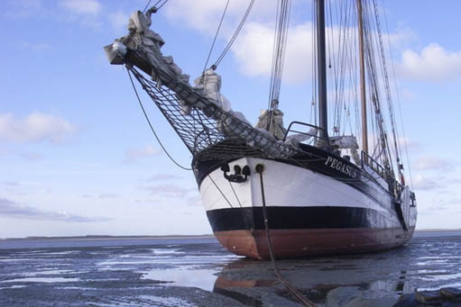 segelreisen-pegasus-4
