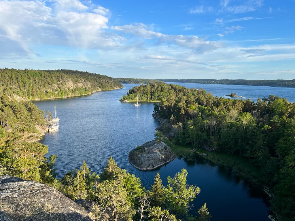 Napoleonsvik