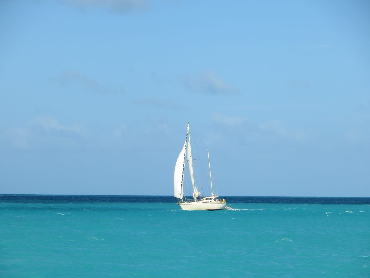 IMG_1338_1