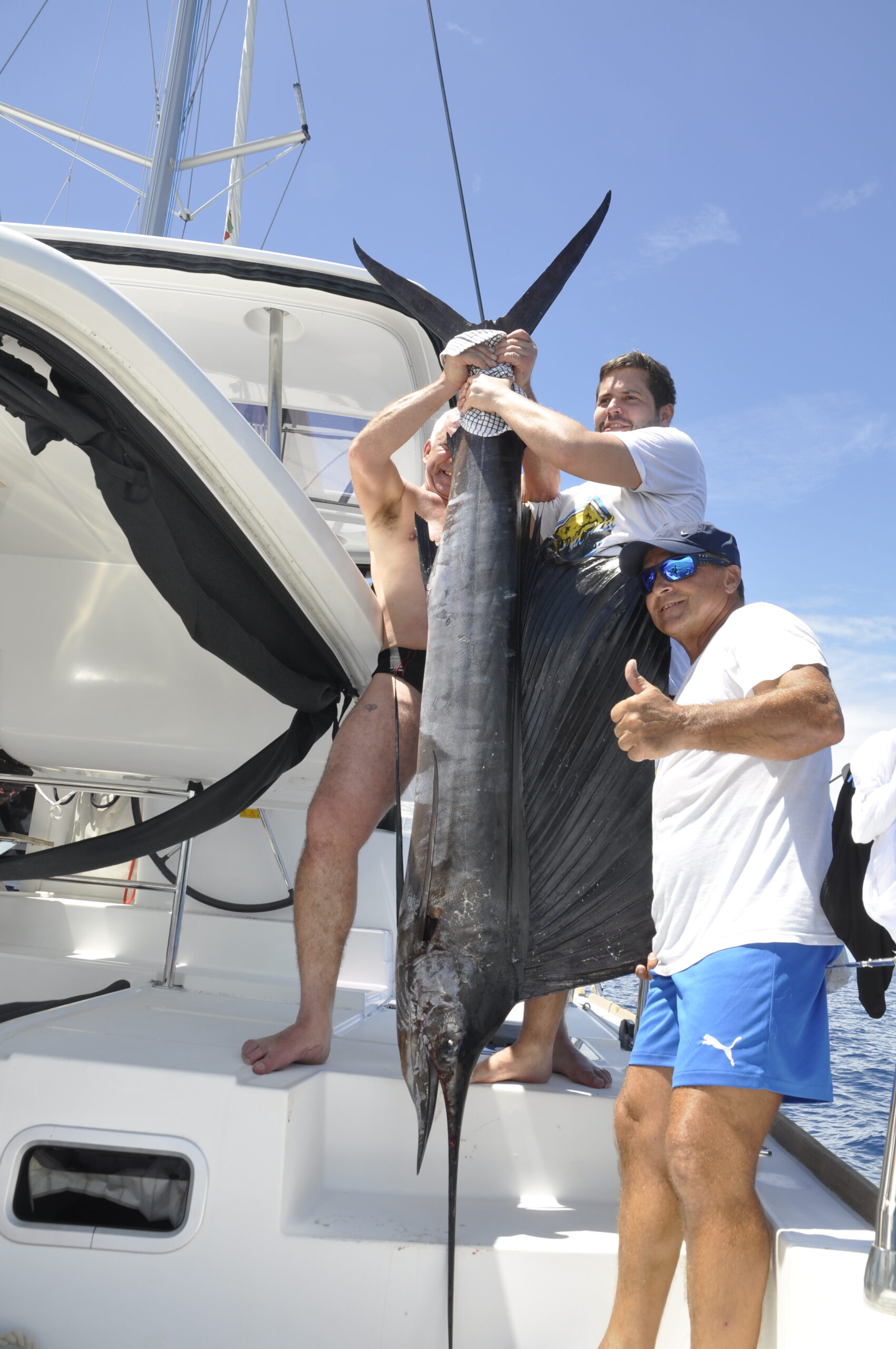 mitsegeln - SkippyTirol - schoener Sailfisch gefangen