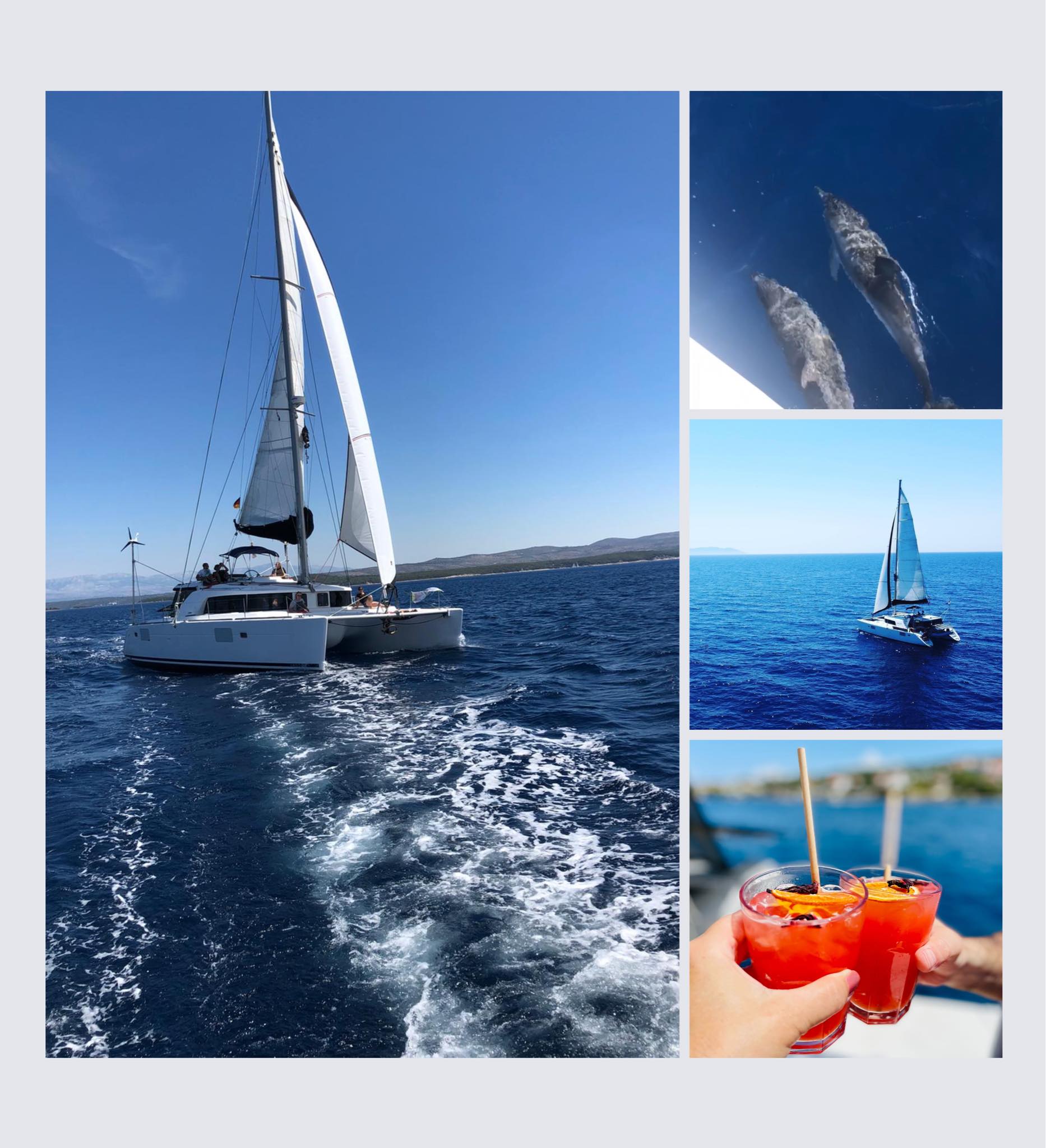 329015398_489985359989865_3774010308237994845_n