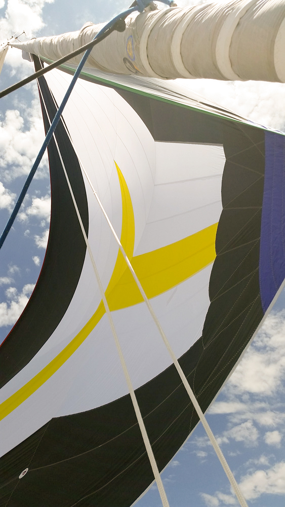 unter Blister fliegen lernen