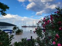 Idylle im Hafen